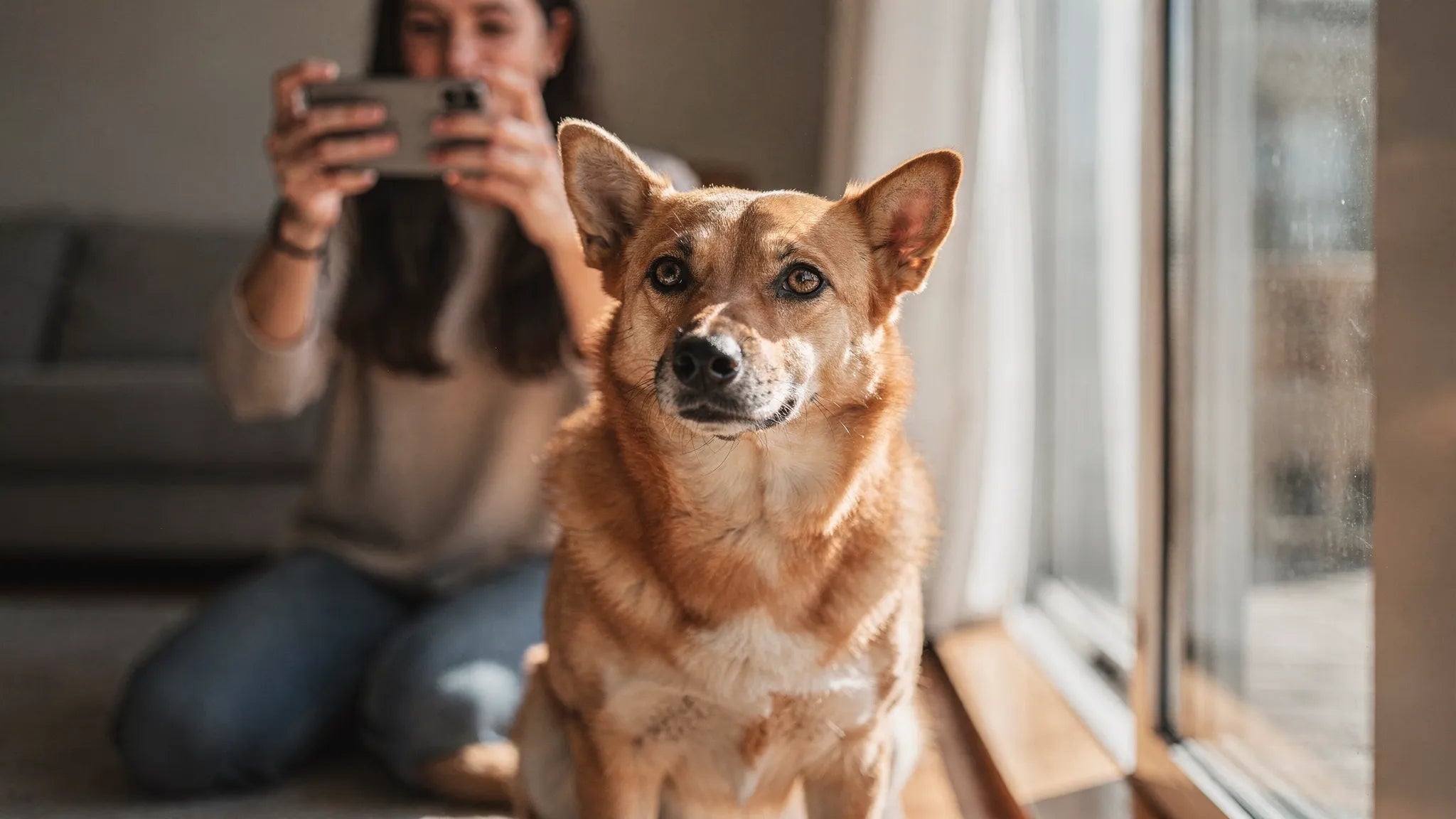 Haustier Portrait: Diese Fotoregeln machen den Unterschied