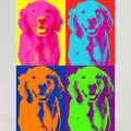Pop-Art Stil