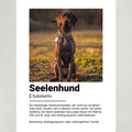 Seelenhund