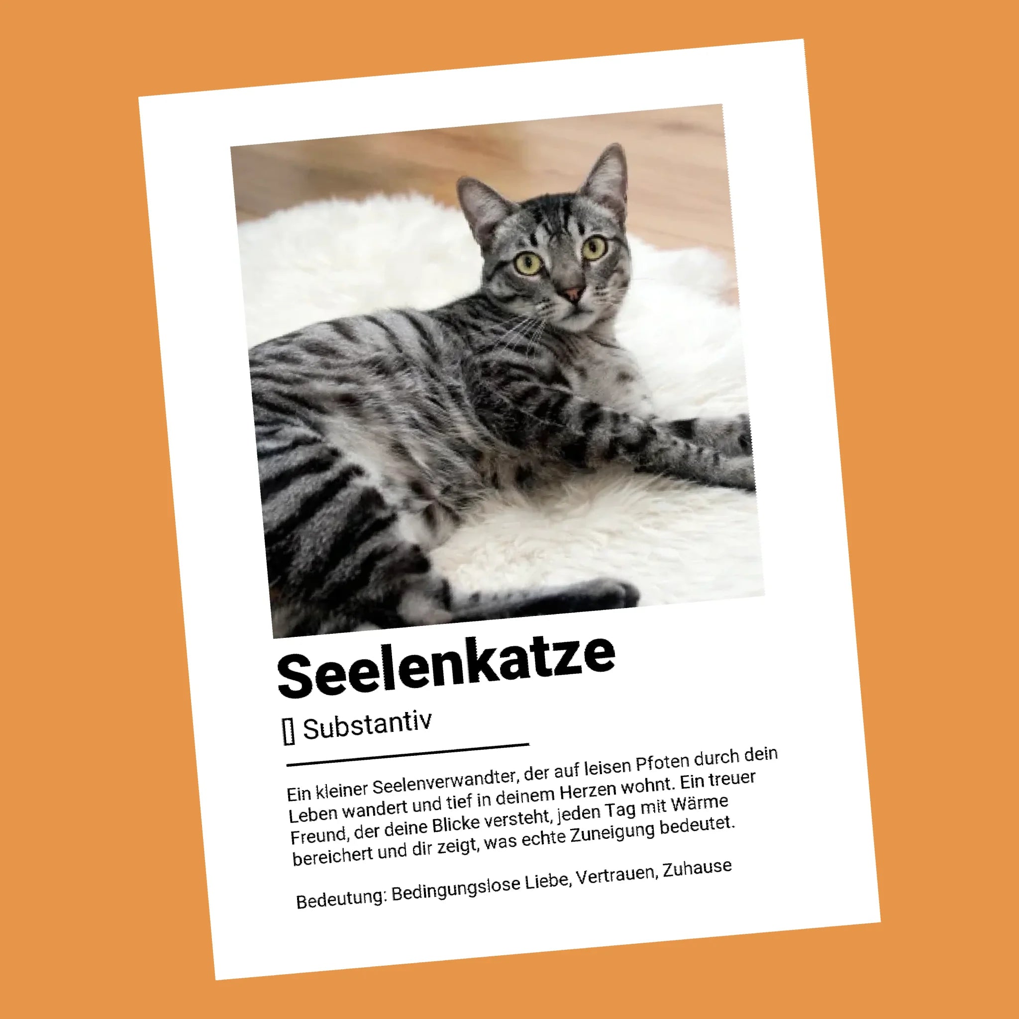 Seelenkatze